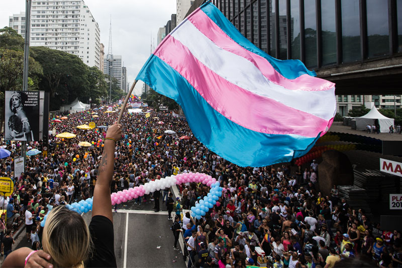 Bandeira Trans